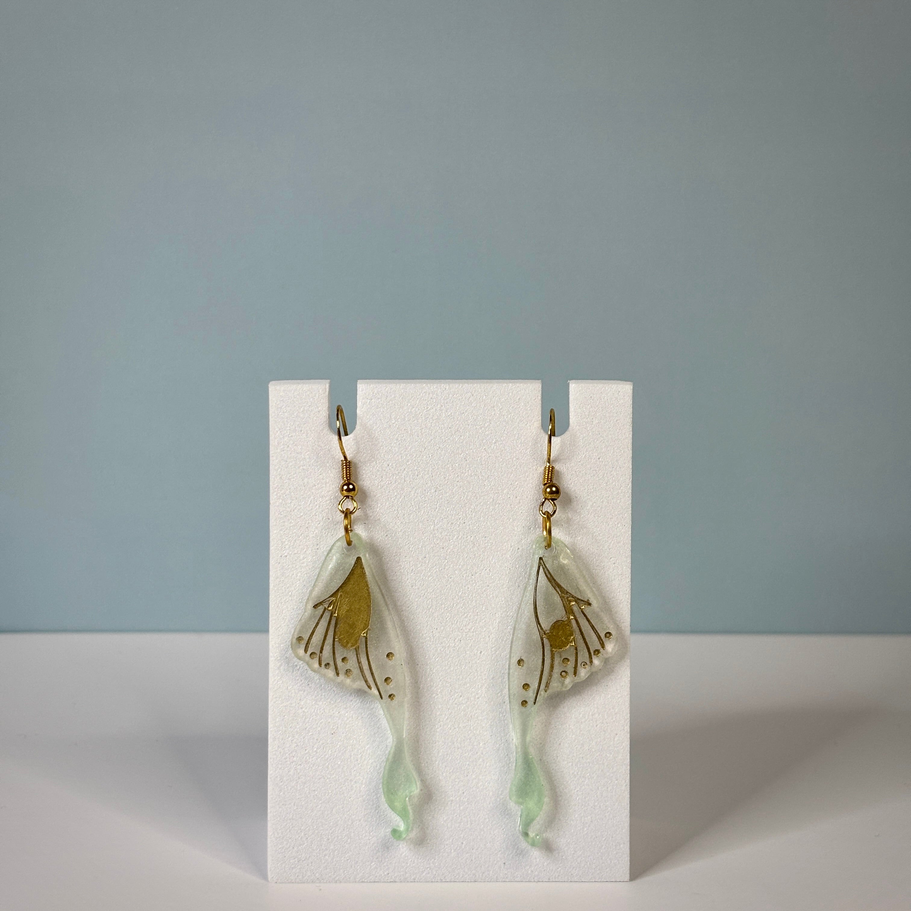 Zebra Drift - Nova Girl Corp